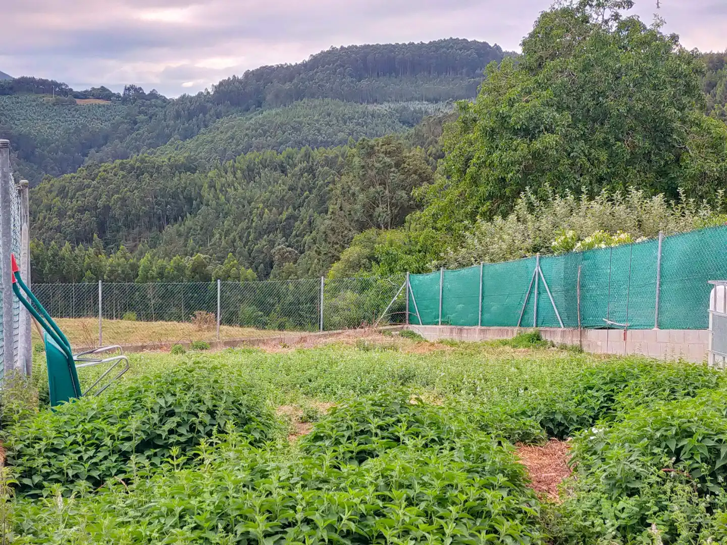 Casa rustica con giardino in vendita a Pravia, imagen 50