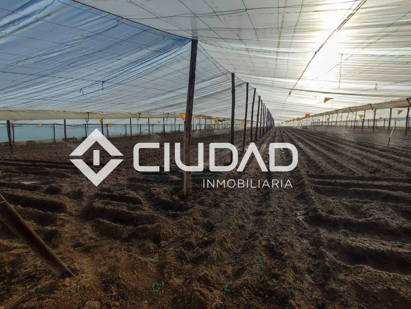 Terreno en venta en Lebrija