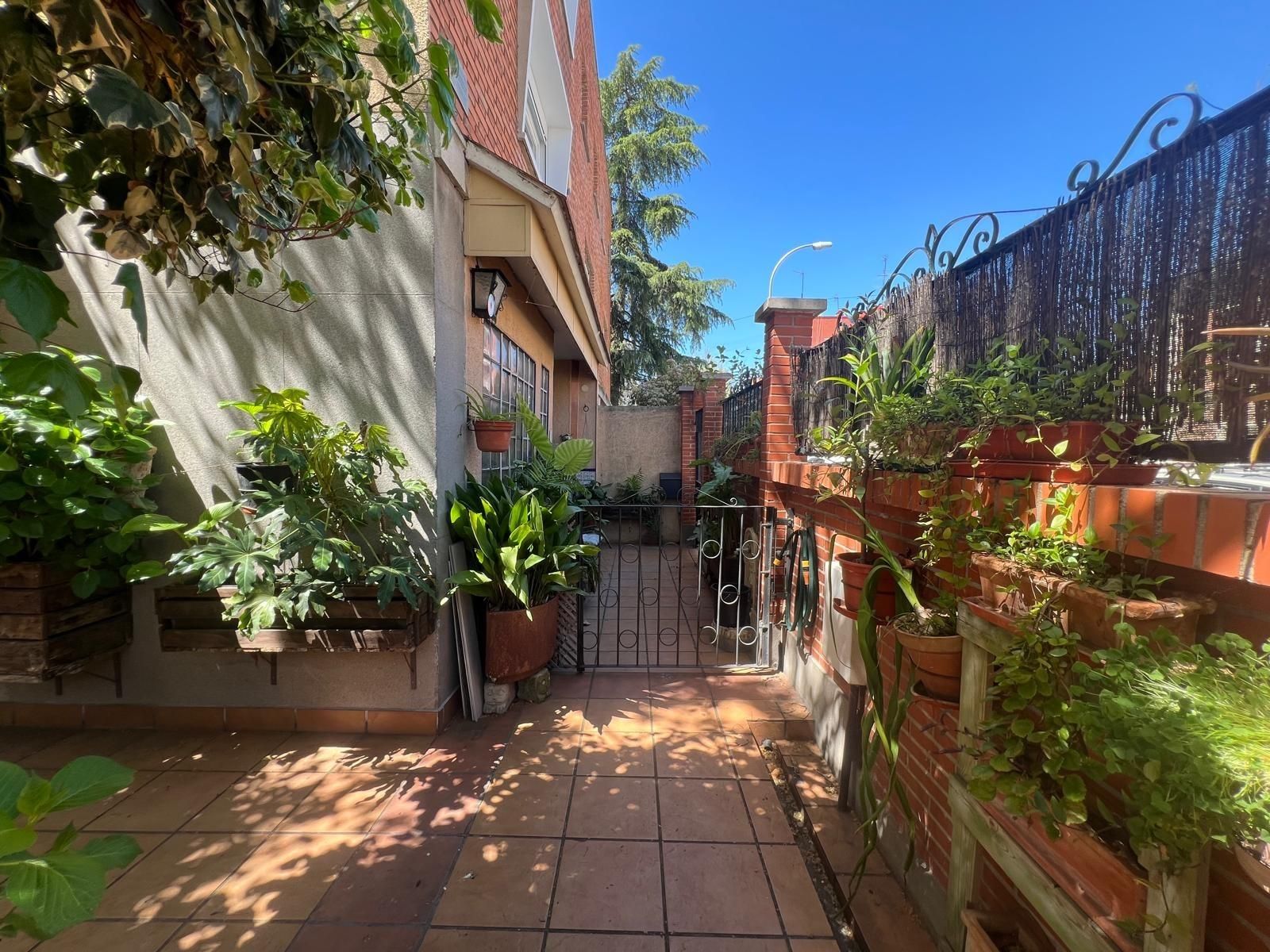 Exterior view of House or chalet for sale in  Madrid Capital  with Private garden, Terrace and Swimming Pool