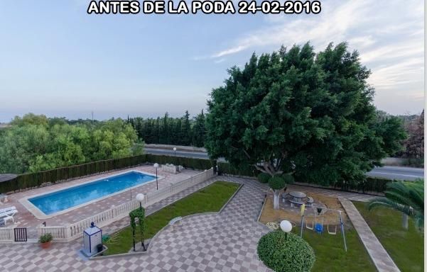 Swimming pool of House or chalet for sale in Elche / Elx  with Air Conditioner, Heating and Private garden