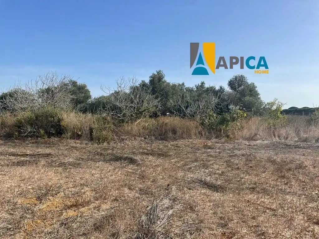 Houses for sale in Roche