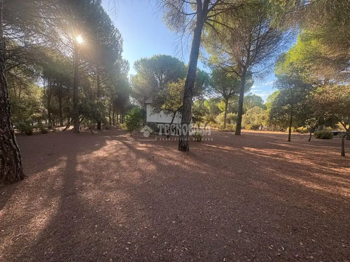 Casa rústica amb jardí en venda a Andújar, imagen 15