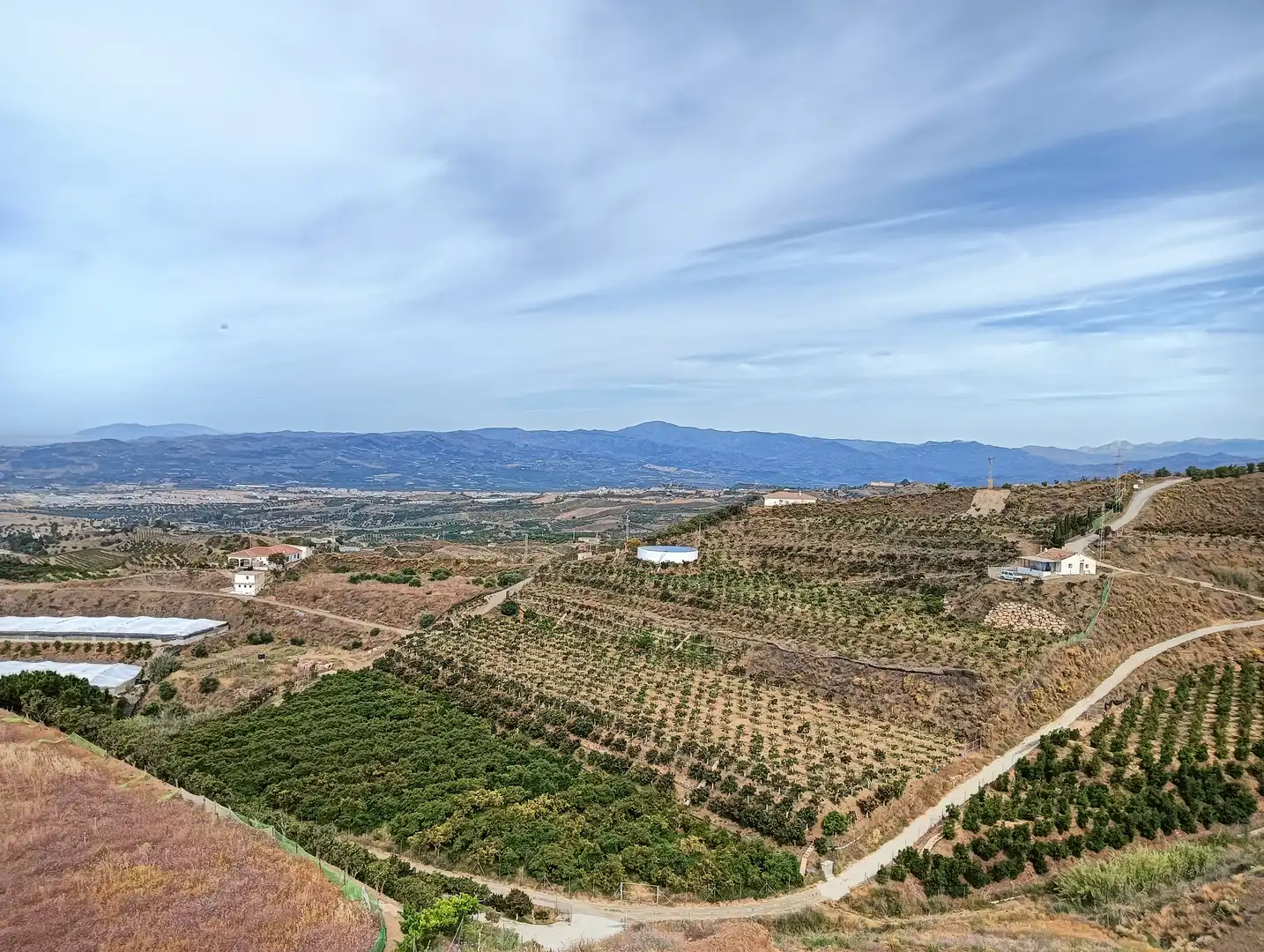Rustikales Grundstück zum Verkauf in Algarrobo pueblo, imagen 3