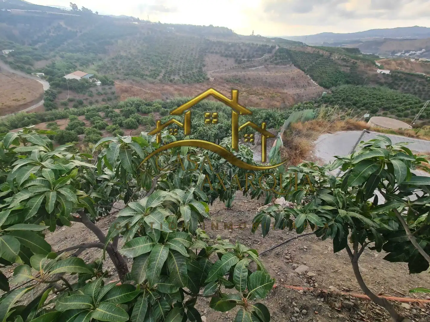 Finca rústica en venda en Vélez-Málaga amb Jardí privat, Terrassa i Piscina