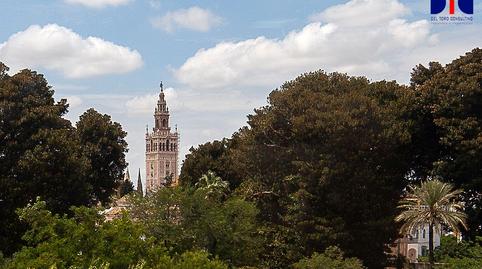 Photo 3 of Office to rent in Avenida de Menéndez Pelayo, San Bernardo, Sevilla
