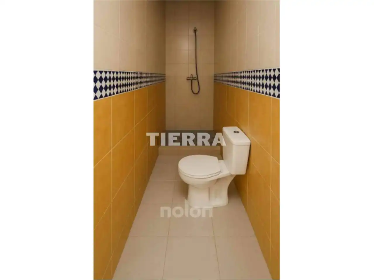 Bathroom of Detached homes for sale in Orihuela