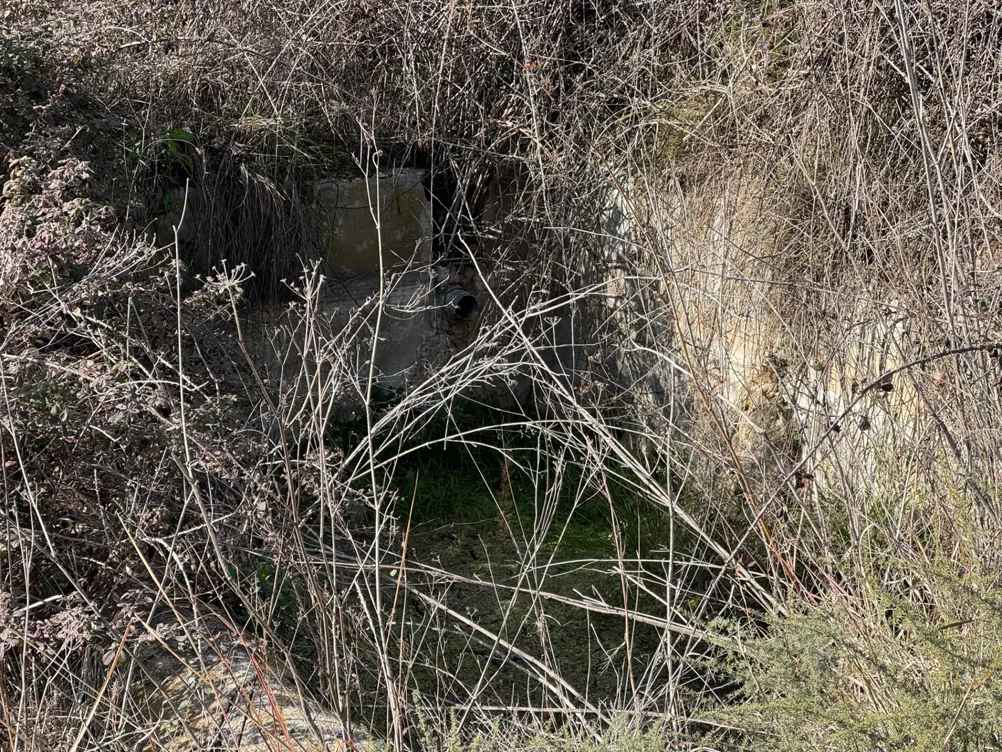 Terreno rustico in vendita a N/A, imagen 12