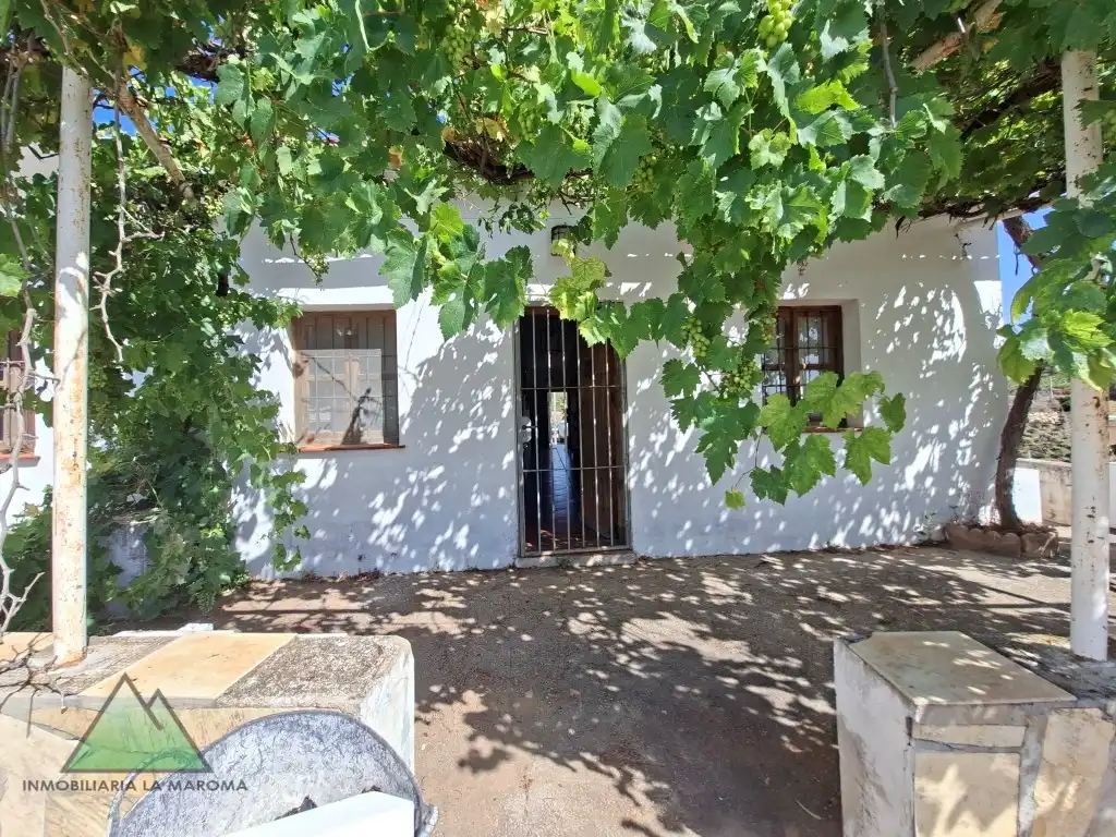 Vista exterior de Finca rústica en venta en Vélez-Málaga con Amueblado