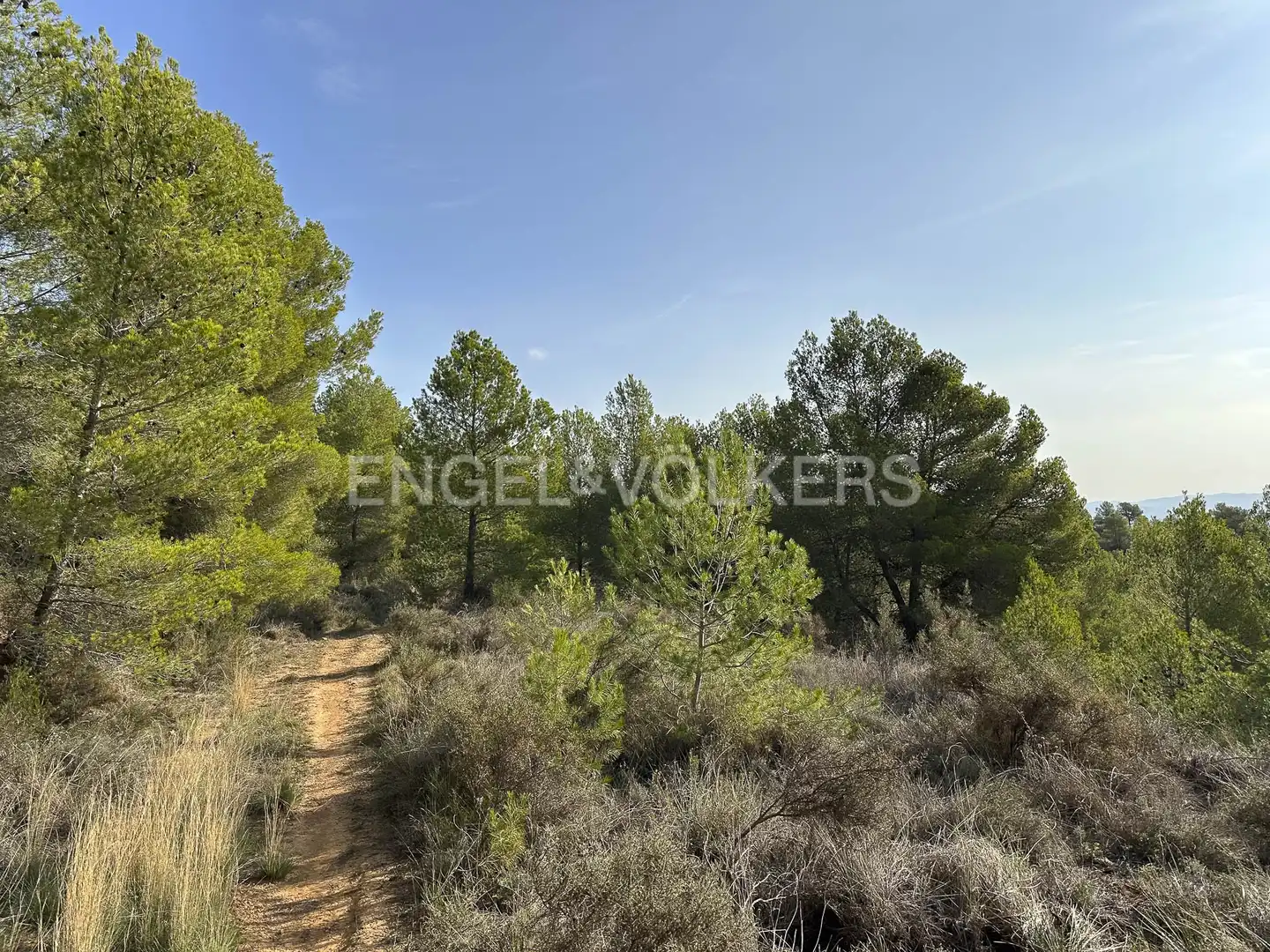Residential land for sale in Torrelles de Foix, imagen 33