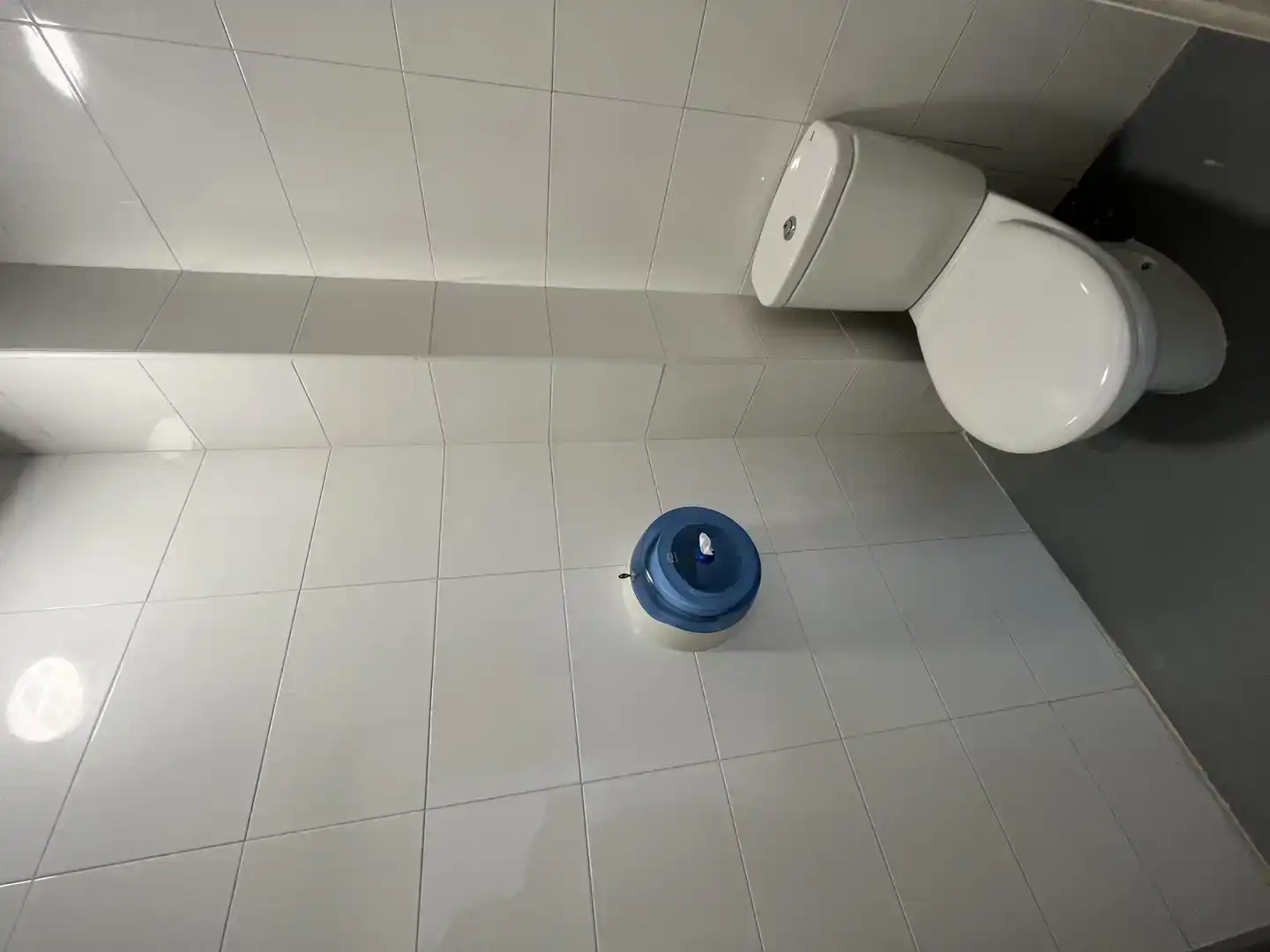 Baño de Nave industrial en venta en Vigo 