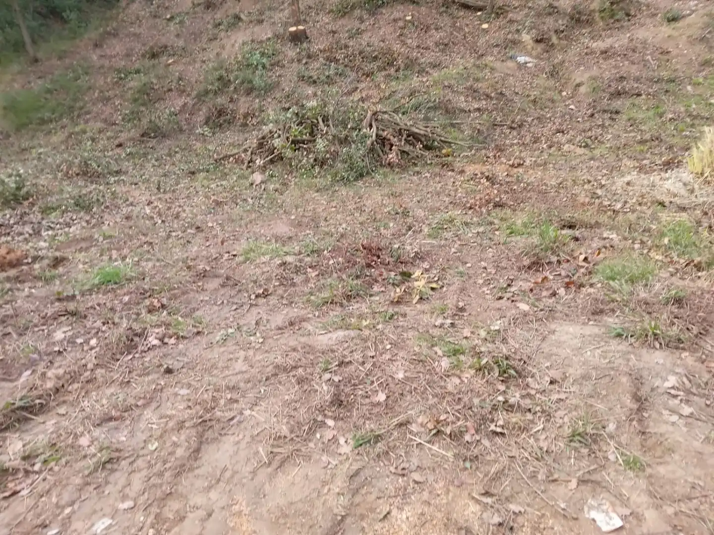 Terreno residenziale in vendita a Carrer de Isabel la católica 277, imagen 14