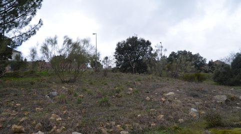 Parcelas en Colmenarejo, imatge 3