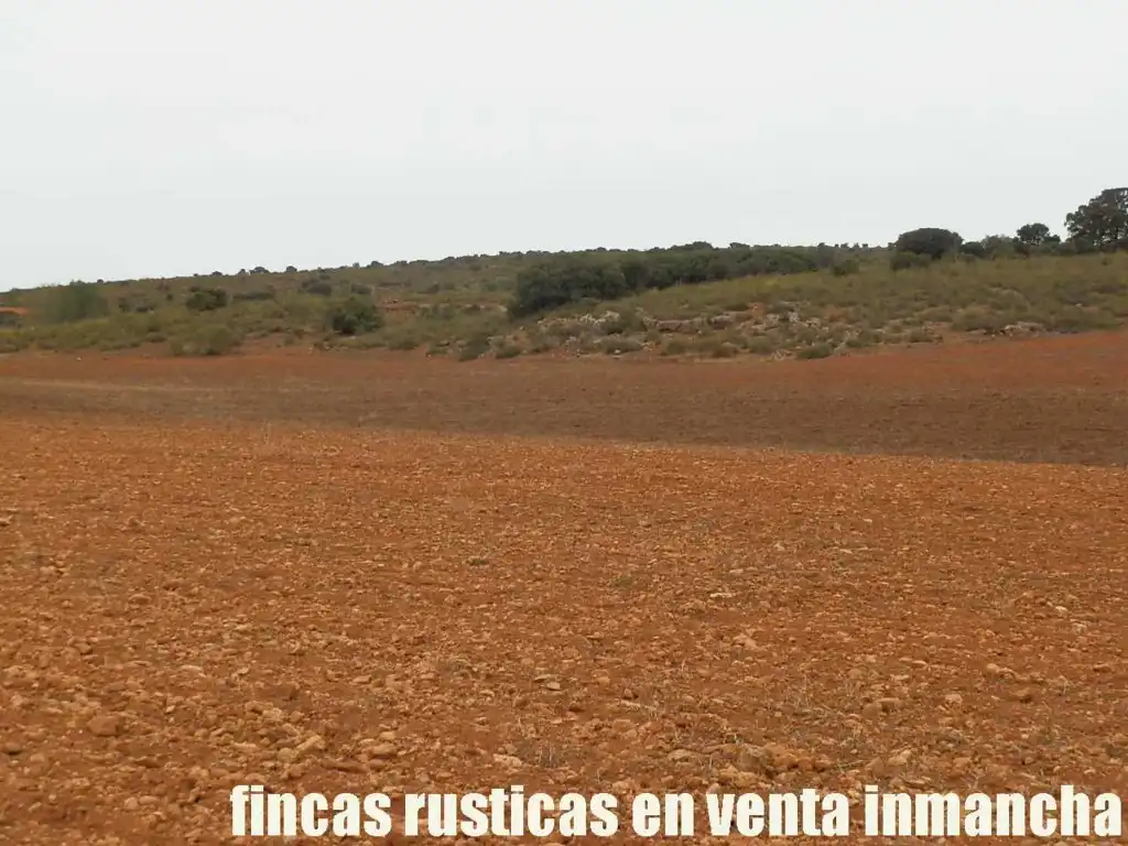 Terreny rústic en venda a Calle Albacete 10, imagen 12