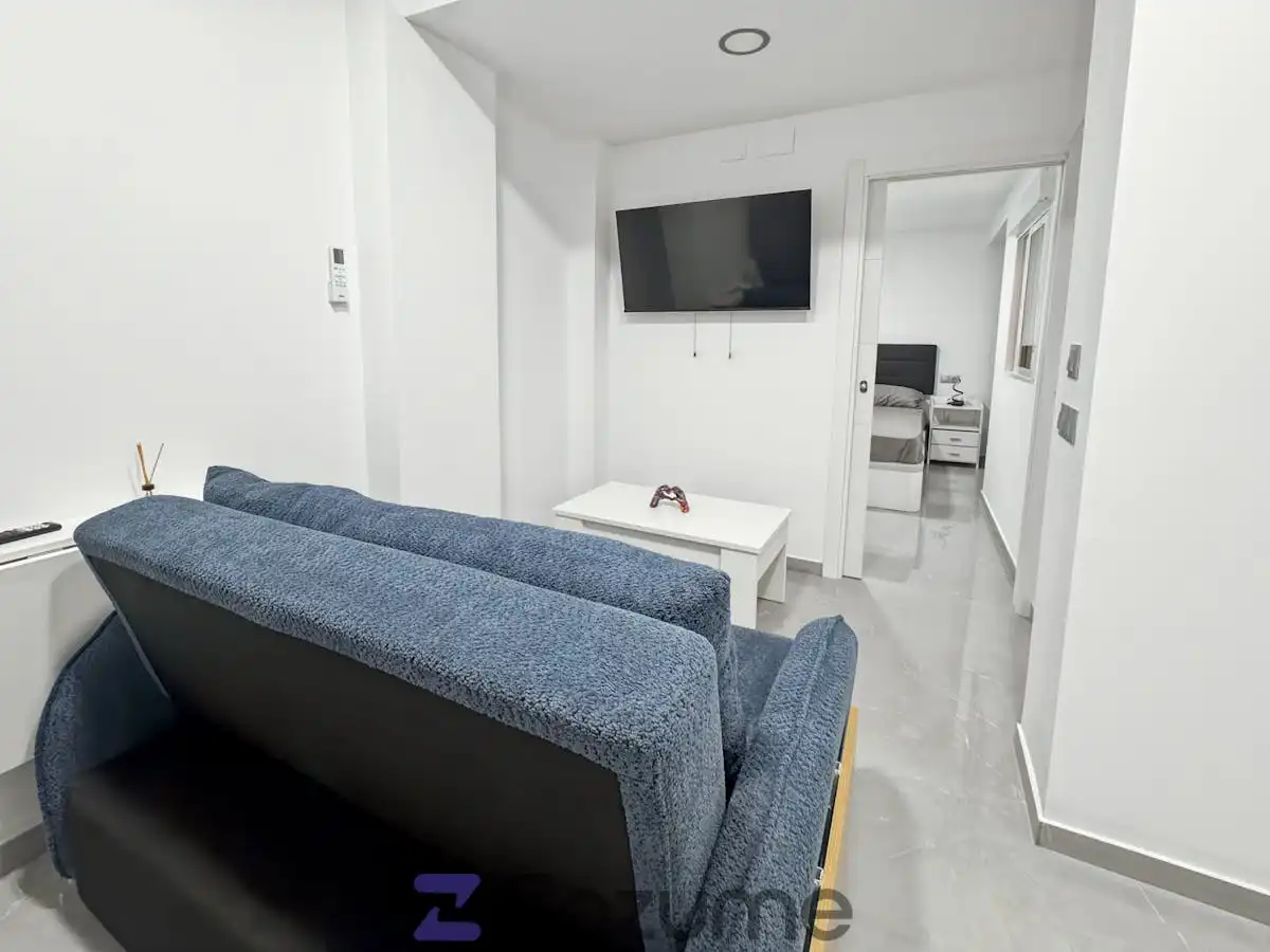 Sala d'estar de Apartament de lloguer en Alicante / Alacant amb Aire condicionat, Moblat i Forn