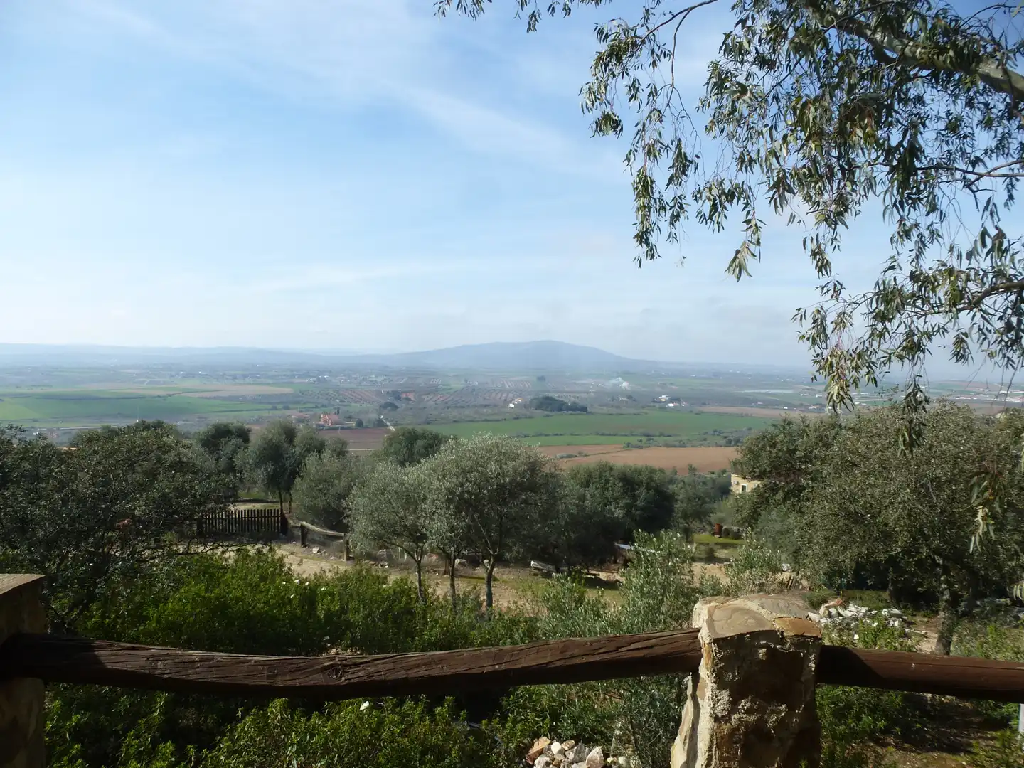 Garden of Land for sale in La Haba 