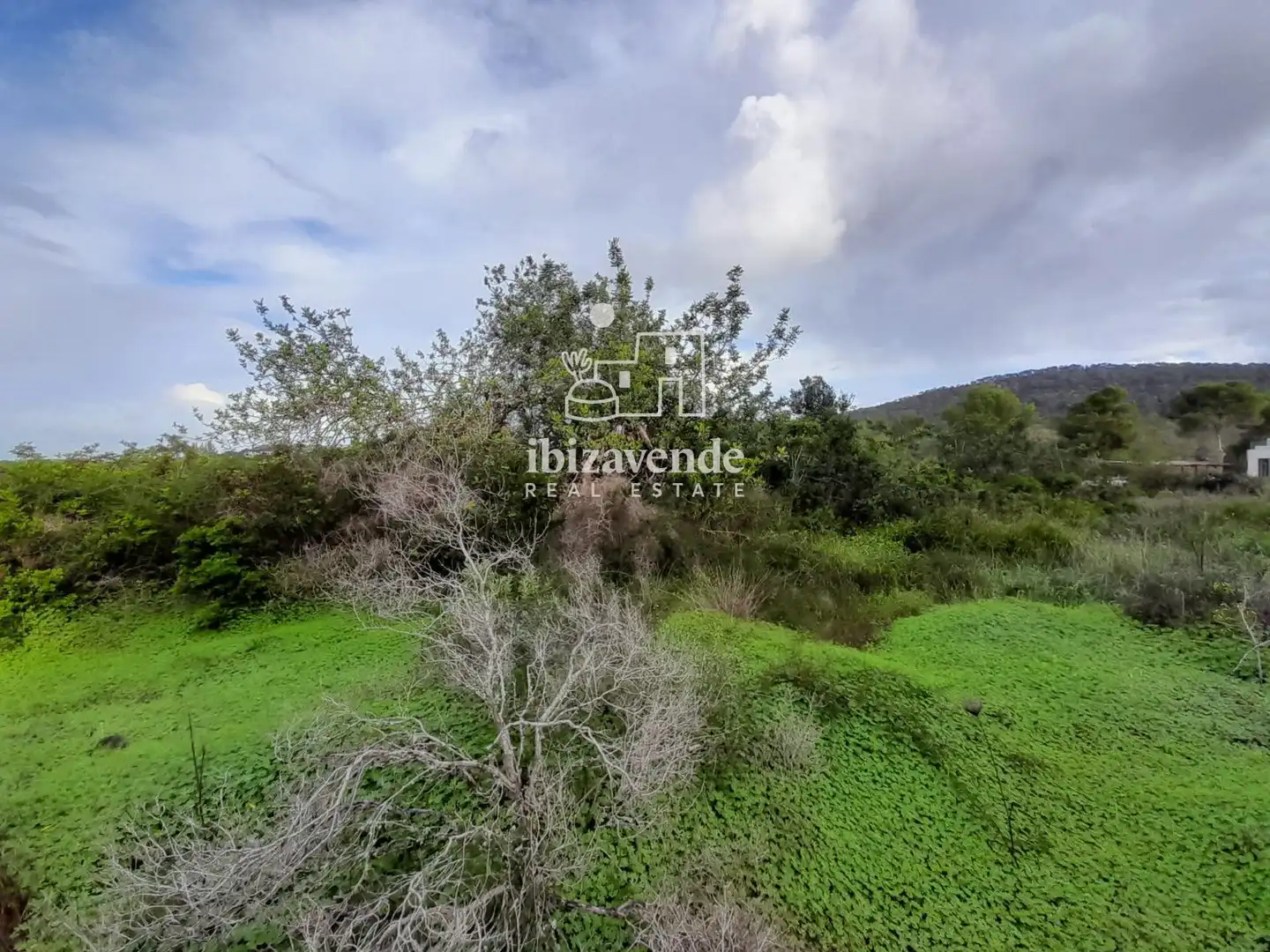 Terreny rústic en venda a de cala tarida, imagen 12