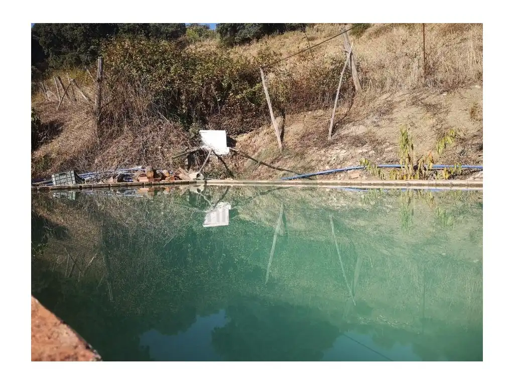 Swimming pool of Country homes for sale in Benalauría