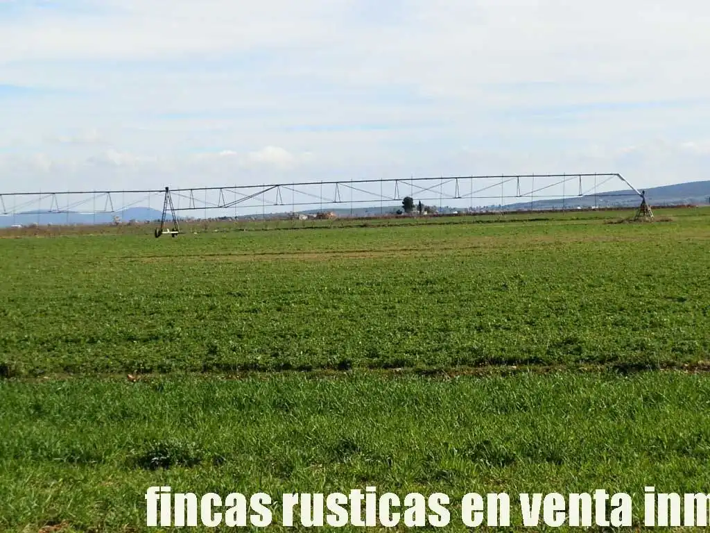 Terreny rústic en venda a Manzanares