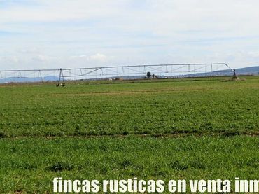 Rural land for sale in Manzanares