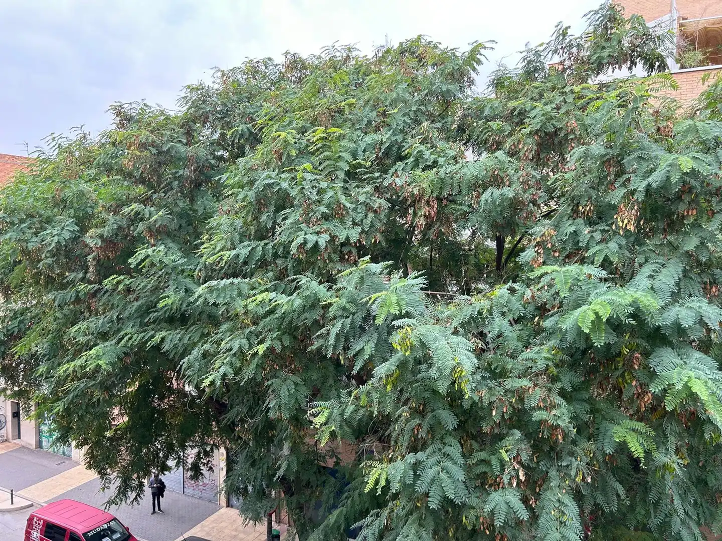 Wohnung zur Miete in Calle Moncayo, Santa María de Gracia