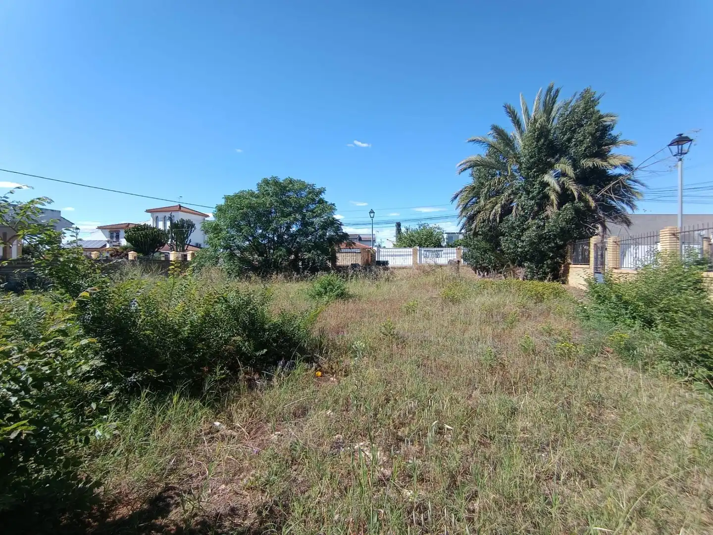 Terreni e lotti in vendita a Palomares del Río, imagen 3