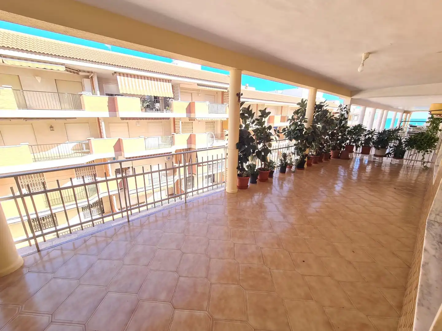 Terrace of Apartments for sale in Guardamar del Segura
