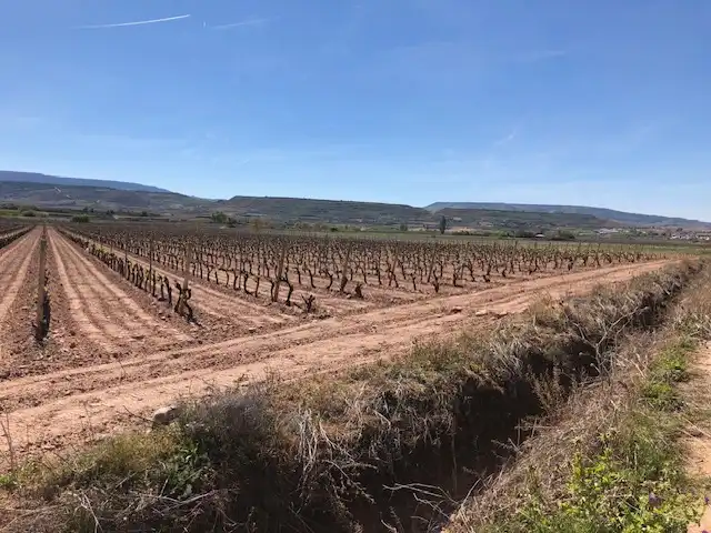 Rustikales Grundstück zum Verkauf in Navarrete, imagen 6