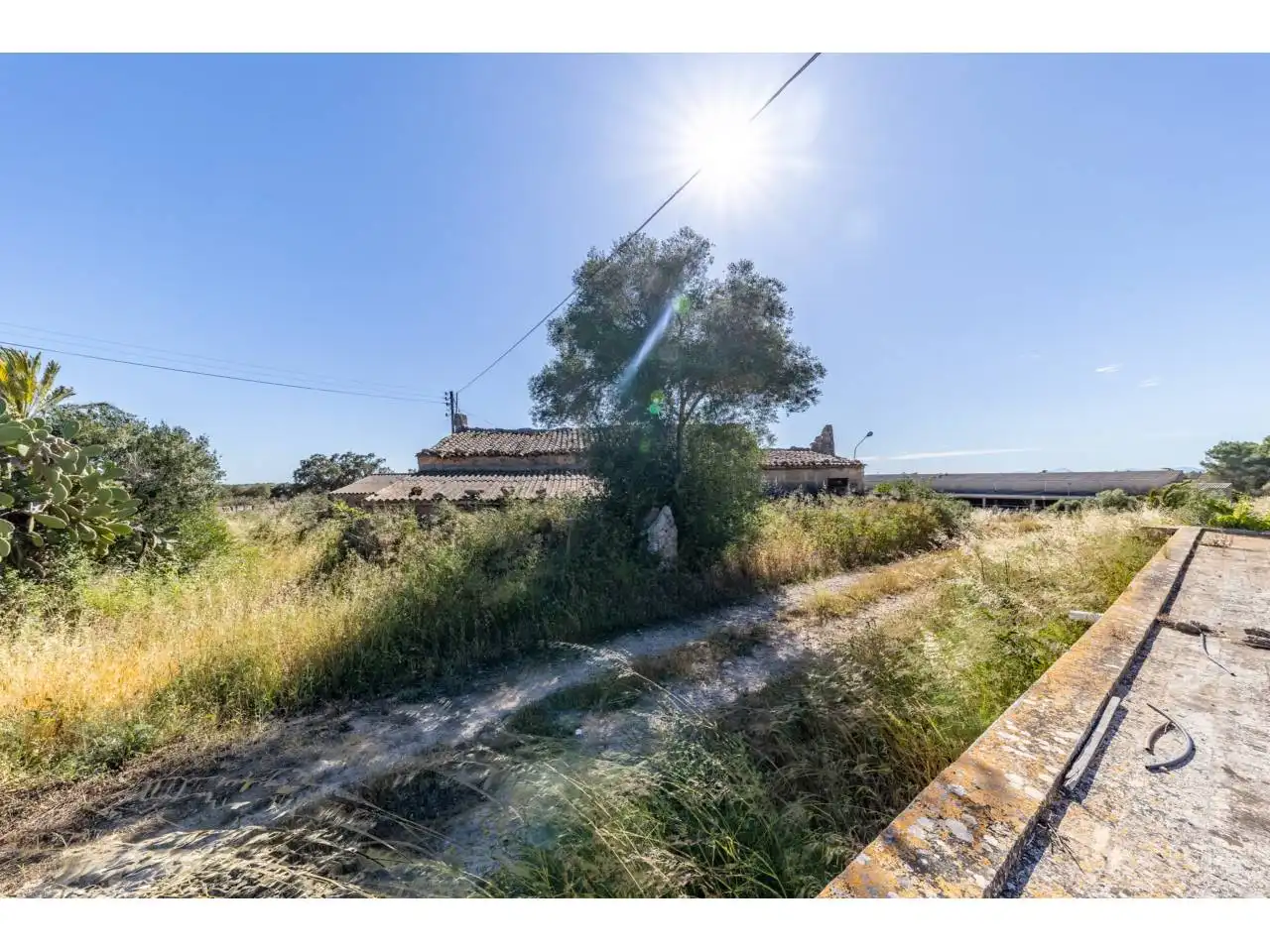 Terreno rustico in vendita a Llucmajor pueblo, imagen 23