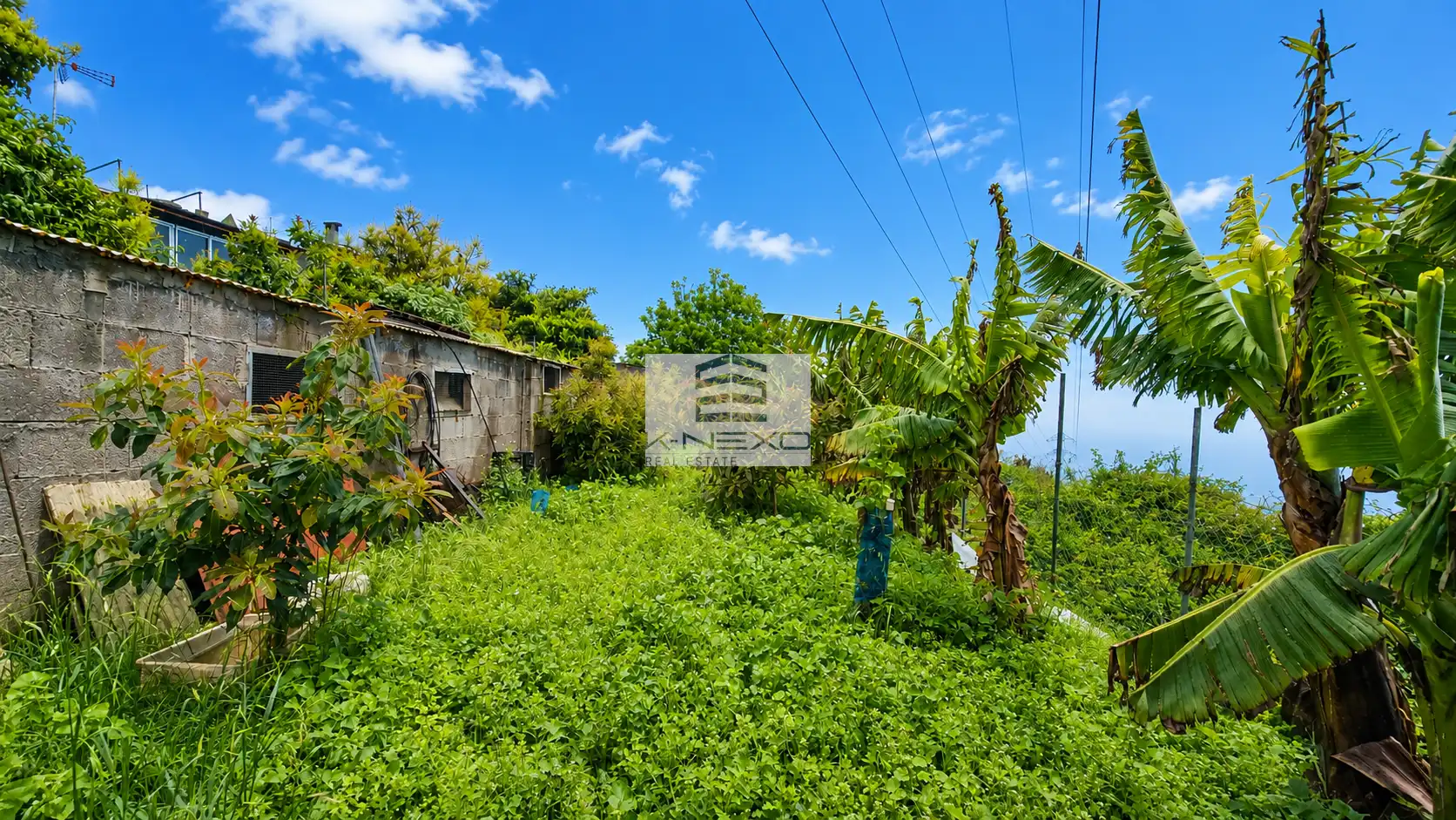 Einfamilien-Reihenhaus zum Verkauf in Santa Úrsula mit Abstellraum