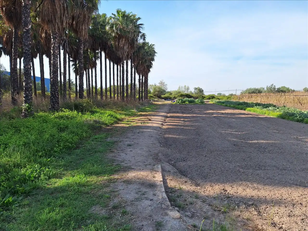 Land for sale in El Puig de Santa Maria