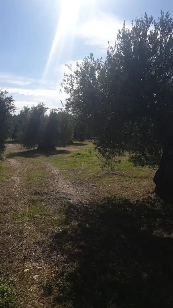 Rural land for sale in Cadalso de los Vidrios