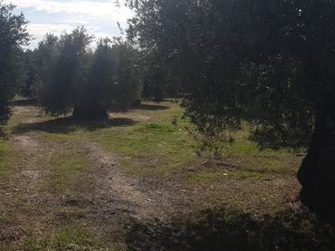 Terreno rustico in vendita a Cadalso de los Vidrios