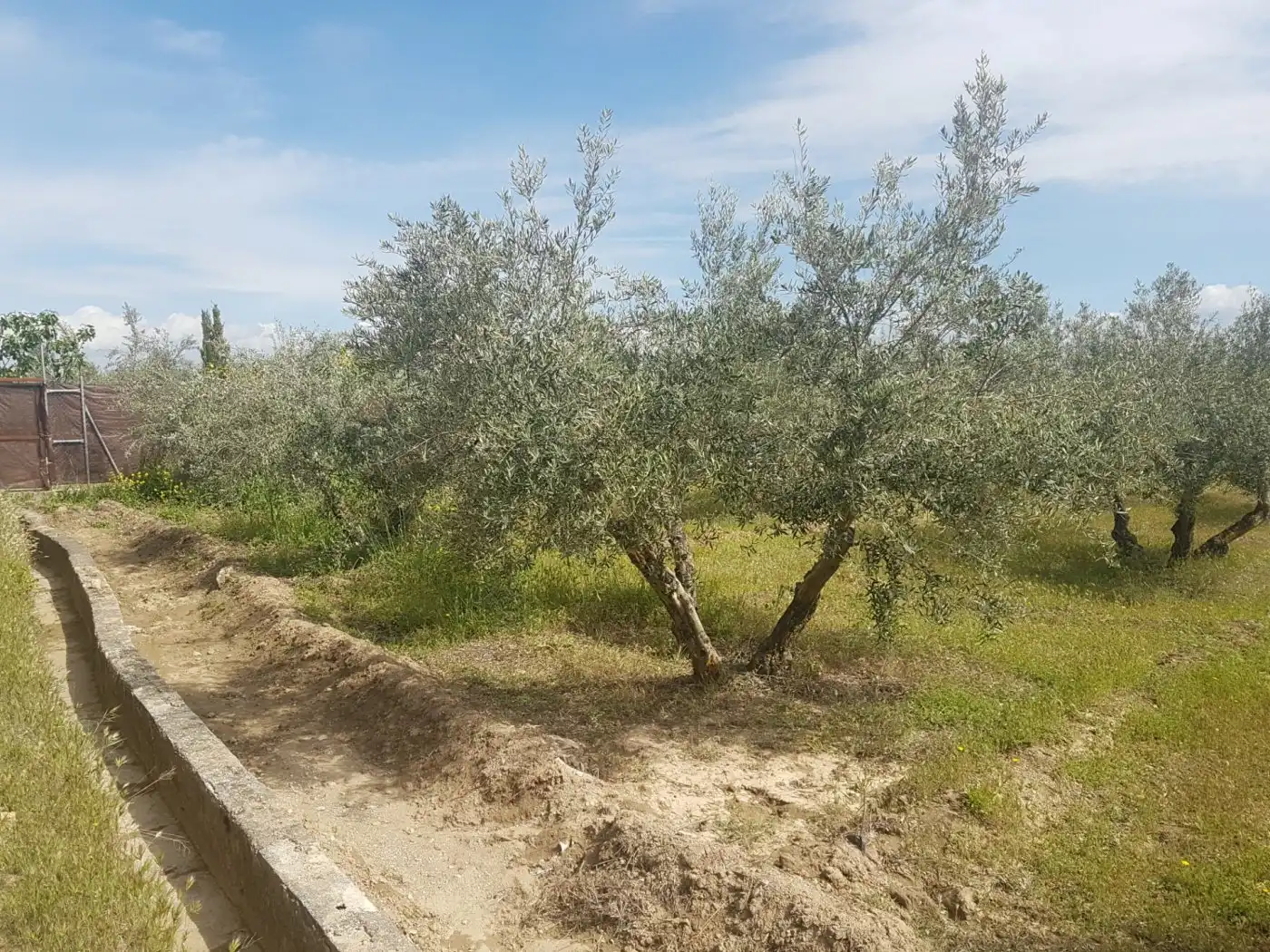 Finca rústica en venda en Villa de Otura