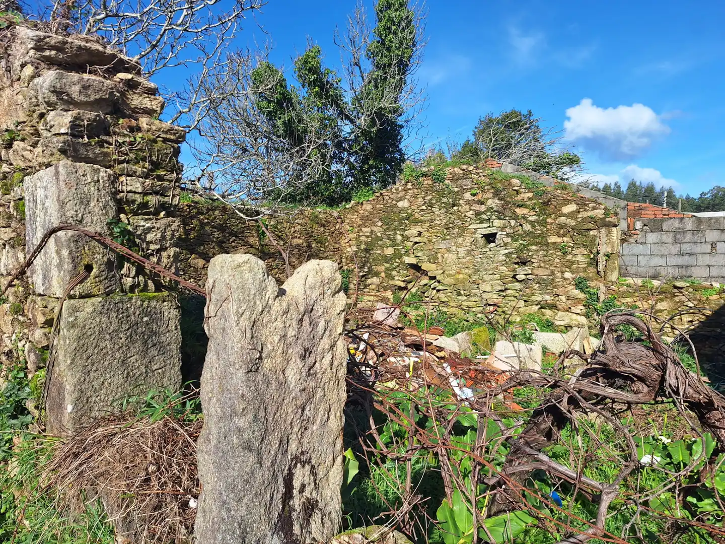 Haus oder Chalet zum Verkauf in Porto do Son mit Privatgarten