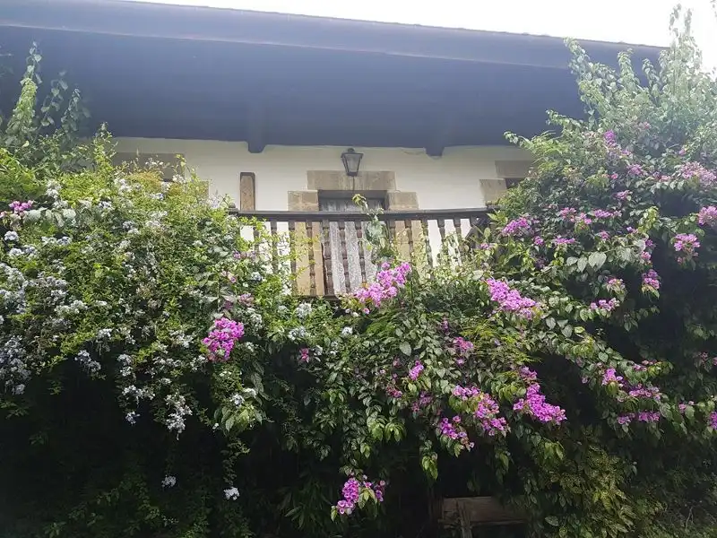 House with terrace for sale in Bricia, imagen 40