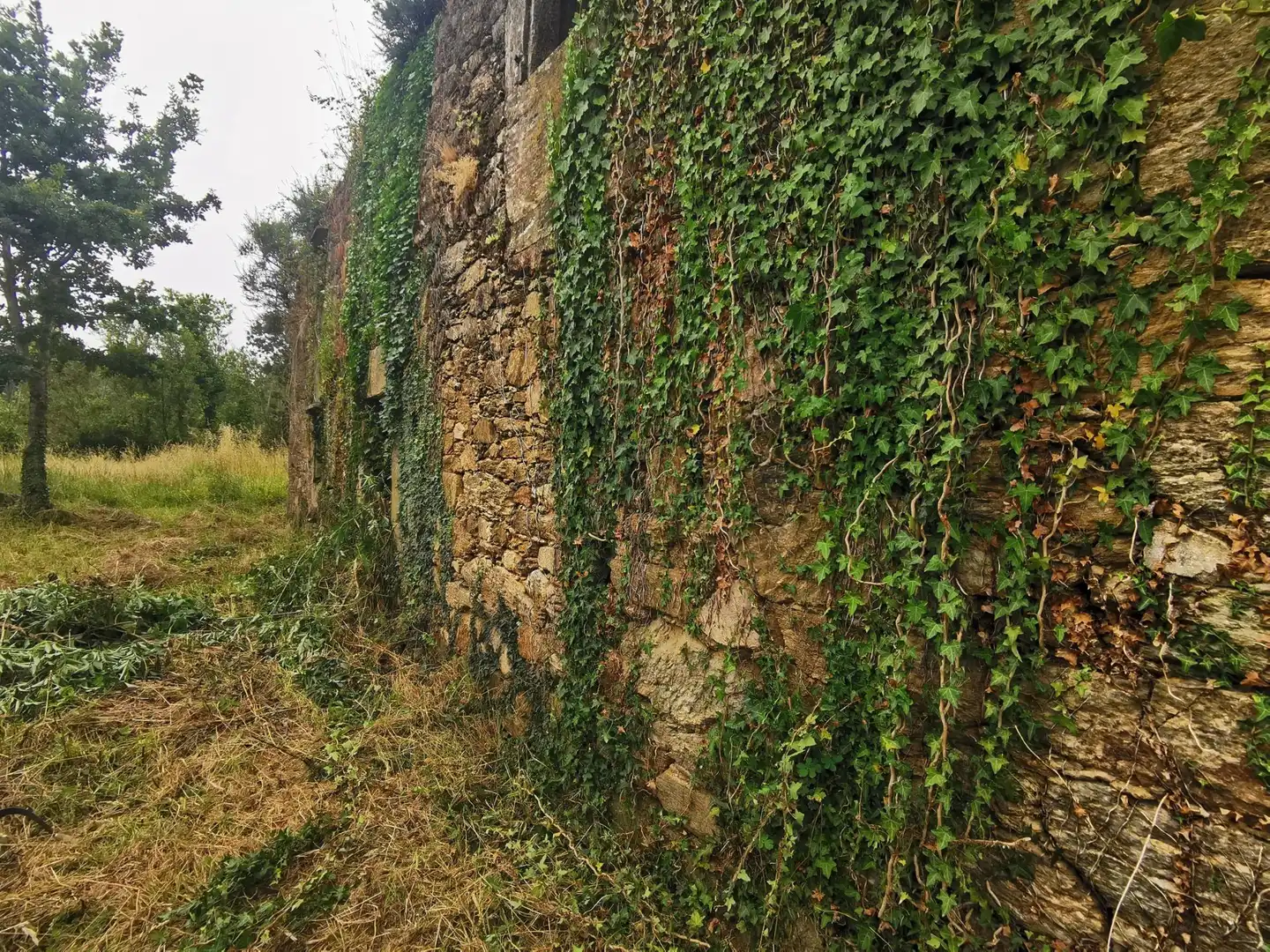 Terreni e lotti in vendita a Lugar CARRACHA, imagen 2