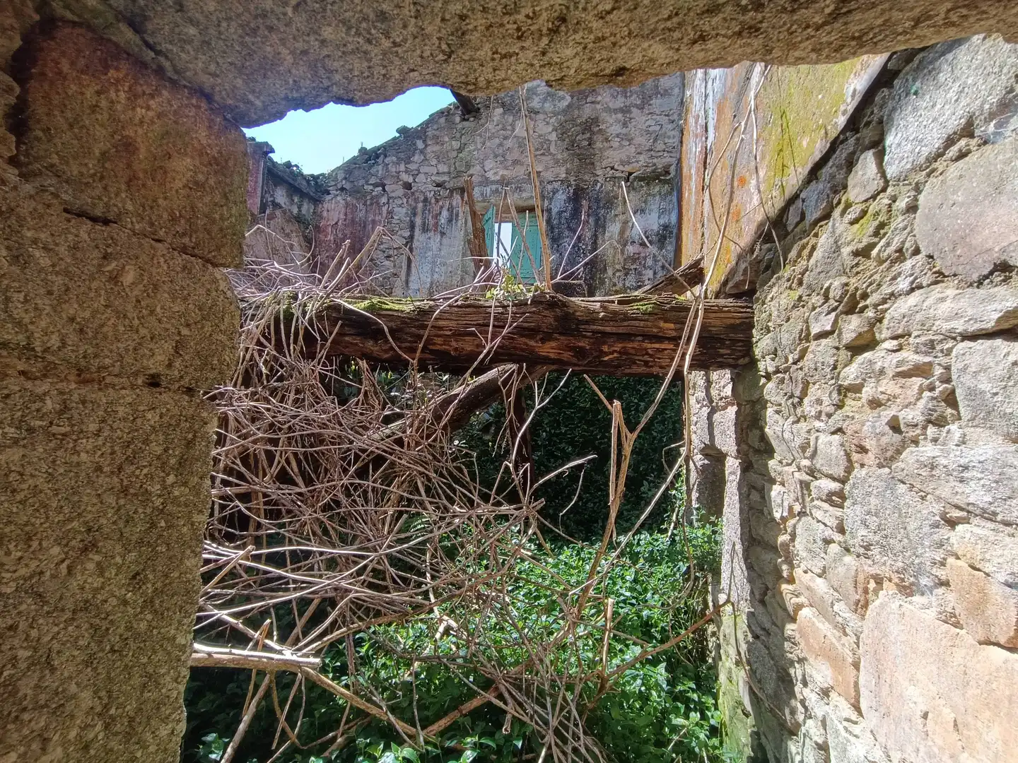 Jardín de Casa o chalet en venta en A Baña  