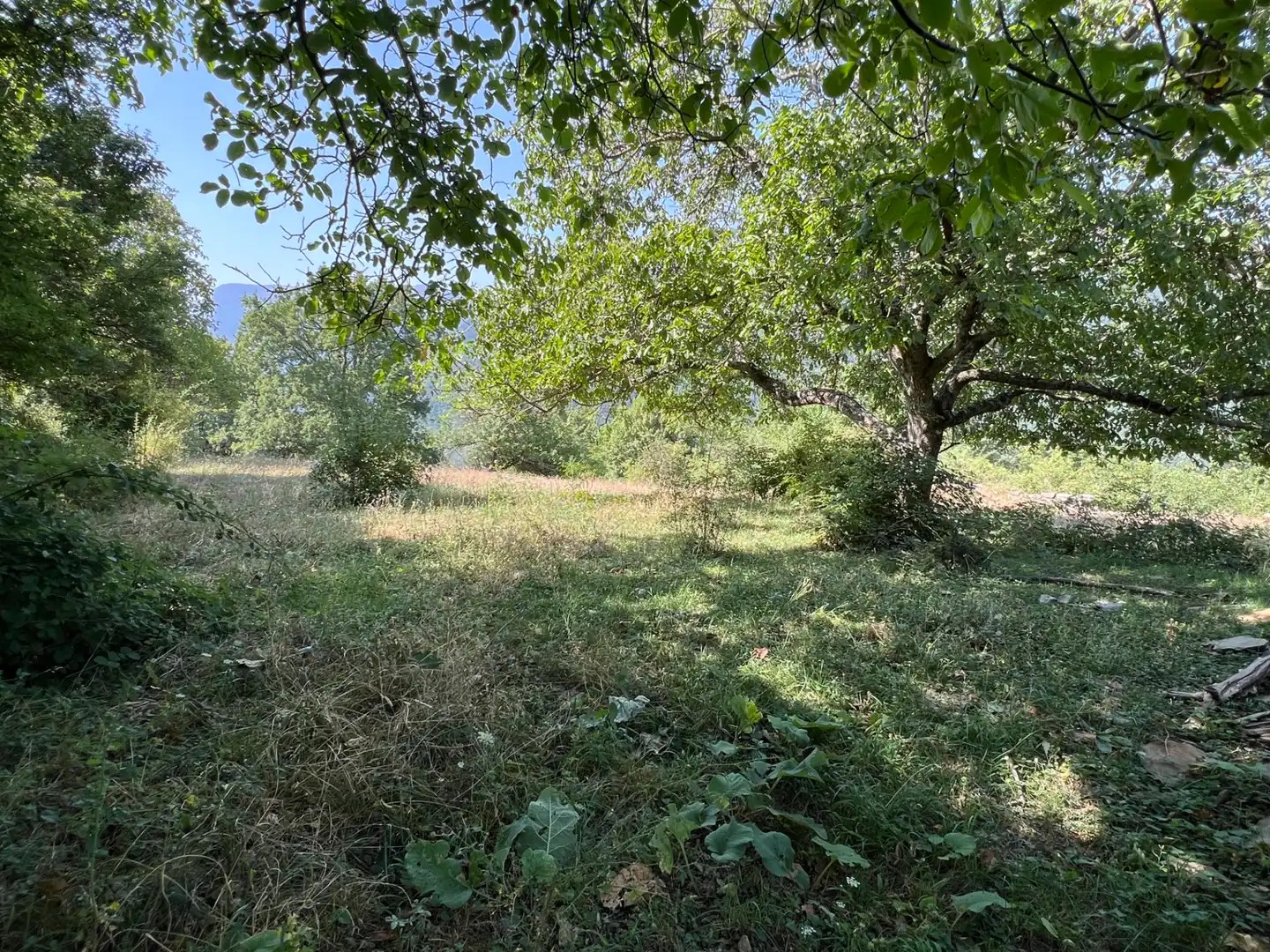 Land for sale in Broto