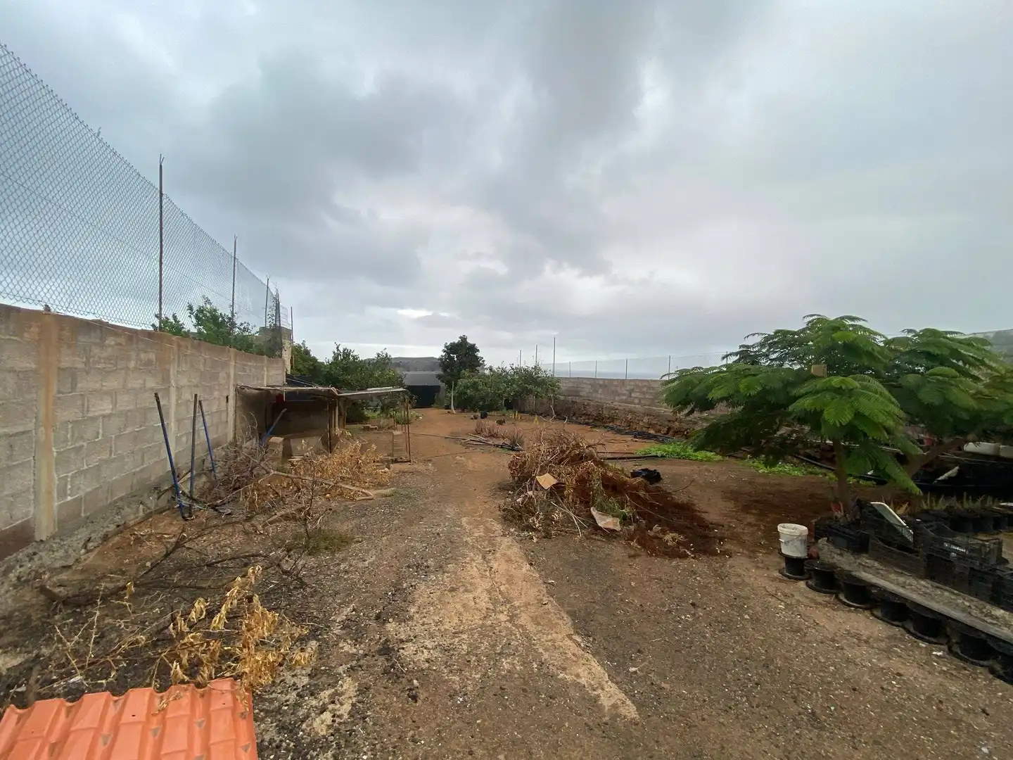 Country homes for sale in Calle ST ELENA, 2, Santa María de Guía de Gran Canaria