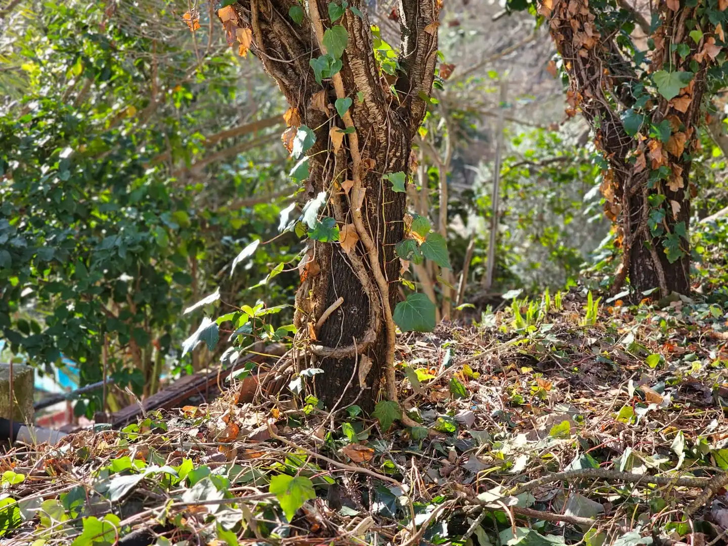 Wohnbaugrundstück zum Verkauf in Corbera de Llobregat, imagen 4