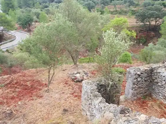 Maison à vendre à Benifallet, imagen 47