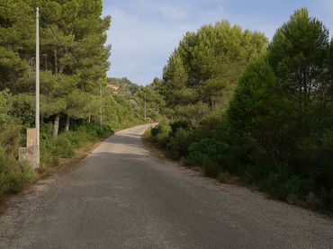 Terrenos y solares en venta en Alginet