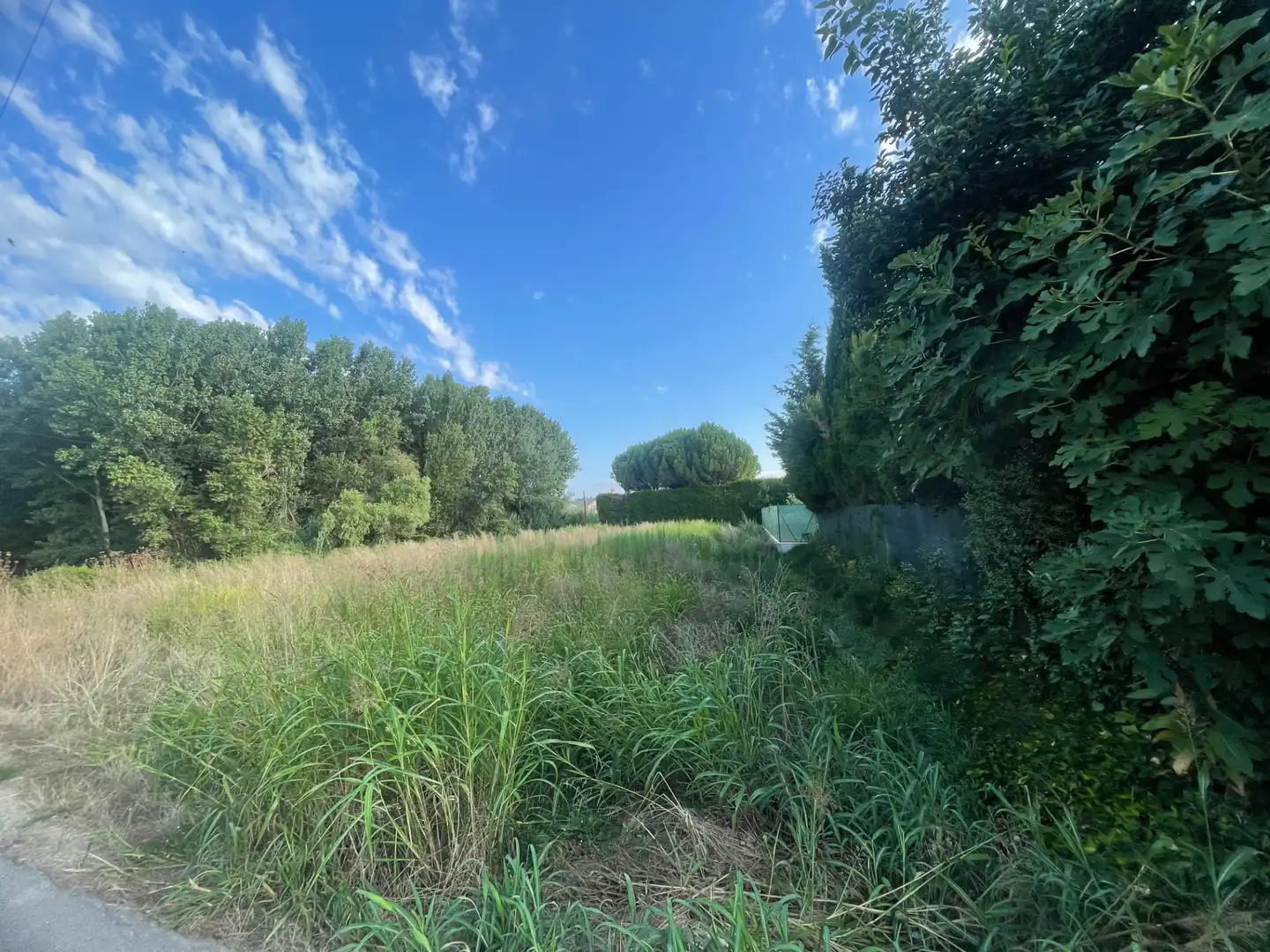 Rural land for sale in Balaguer
