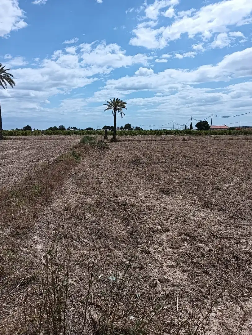 Terreno en venta en Elche / Elx