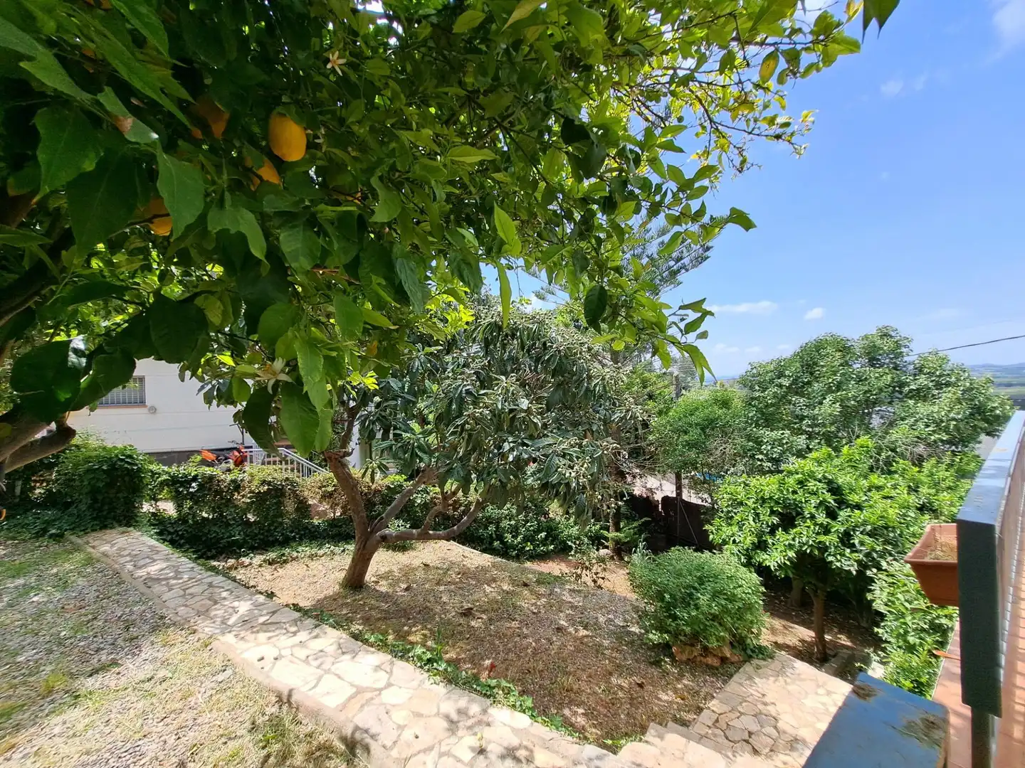Jardí de Casa o xalet en venda en Castellví de Rosanes amb Calefacció, Jardí privat i Terrassa
