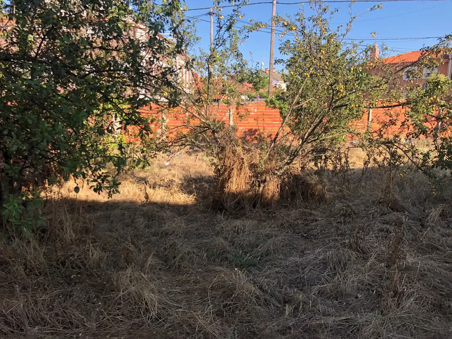 Residential land for sale in Las Flores, imagen 4