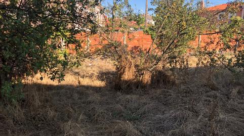 Photo 4 of Residential for sale in N/a, Las Flores, Valladolid