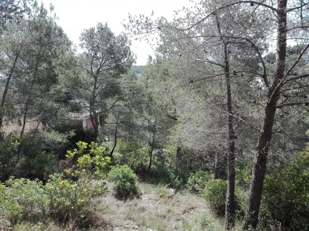 Residential land for sale in Costa Cunit - Els Jardins - Els Rosers, imagen 7