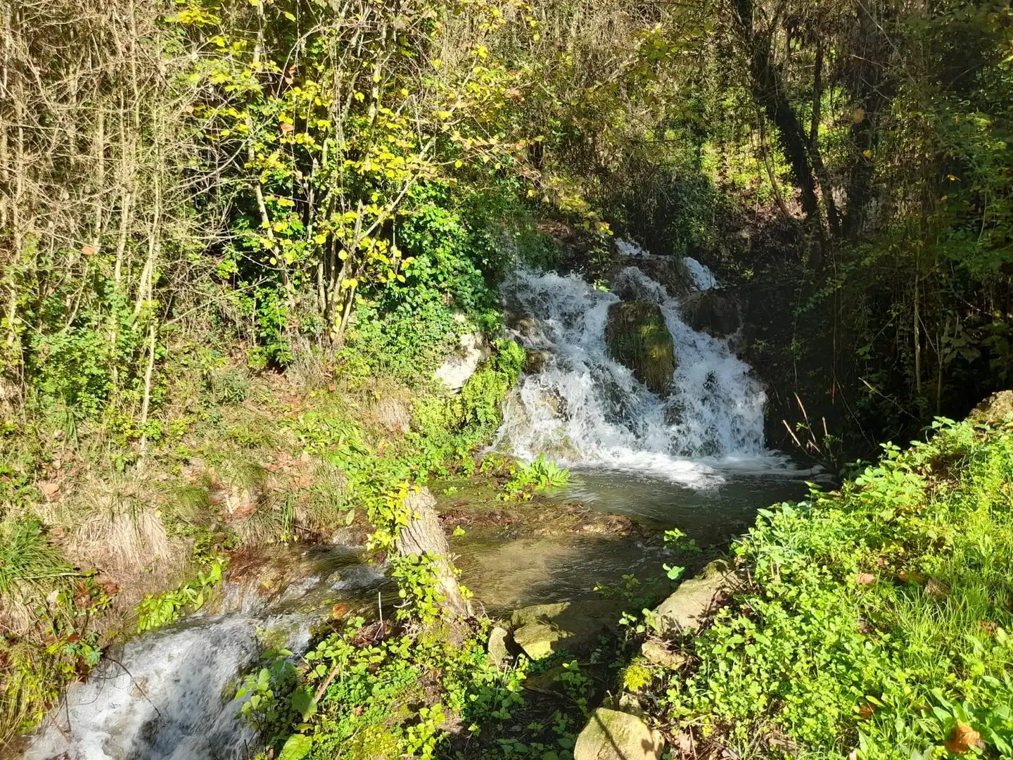 Terreny rústic en venda a Berga, imagen 16