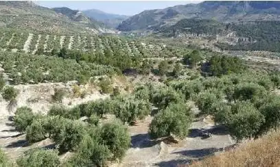 Lands and plots for sale in Pegalajar